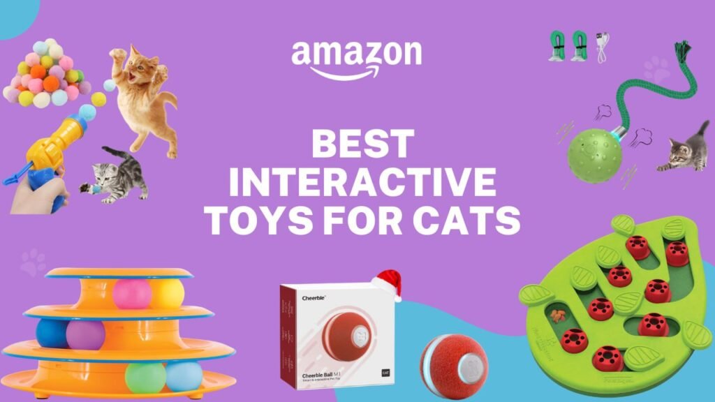 best interactive toys for cats