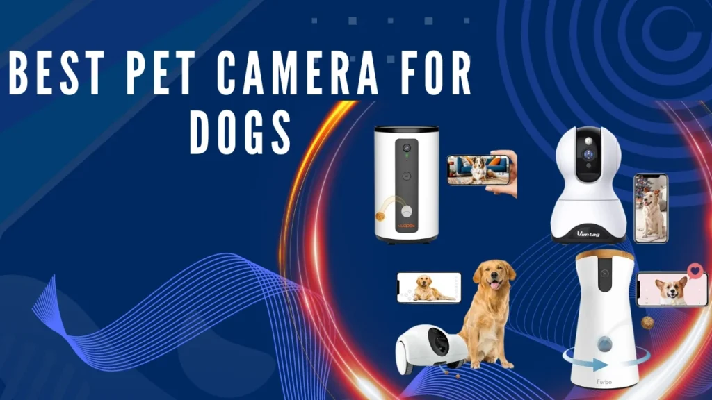 Best pet camera for dogs