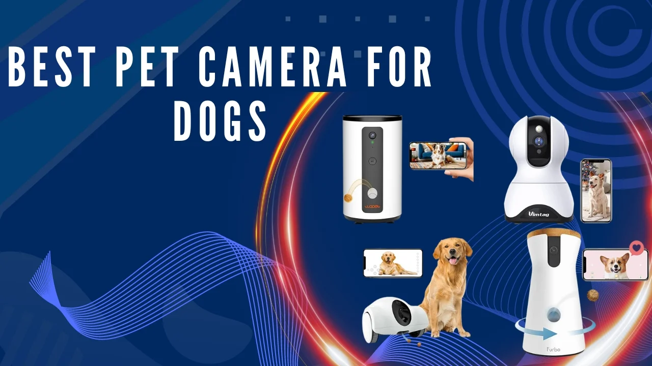 Best pet camera for dogs