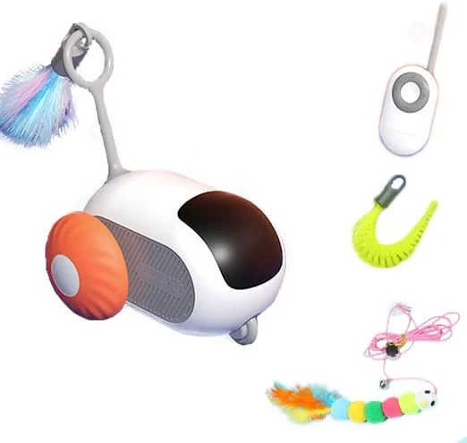 CAROGATTO Interactive Cat Toys: A Whisker-Twitching Adventure for Your Indoor Feline