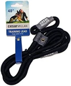 Cesar Millan Slip Lead Leash