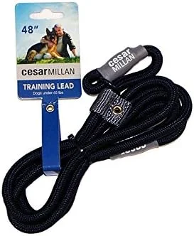 Cesar Millan Slip Lead Leash