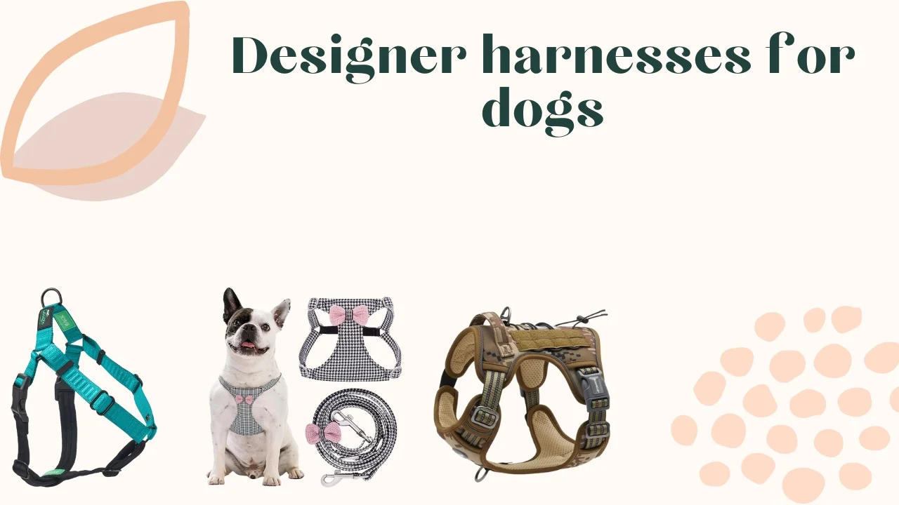 Designer harnesses for dogs