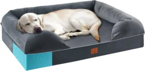 Discover the Comfort of the URPET 4 Inch Full Memory Foam Dog Bed
