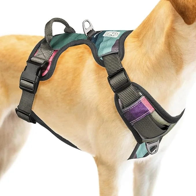 Embark Urban Dog Harness