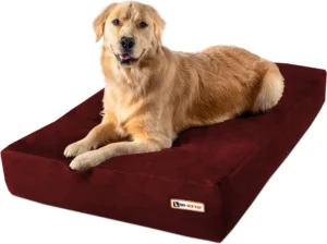 Enhance Your Dog's Comfort with the Big Barker Sleek Orthopedic Dog Bed