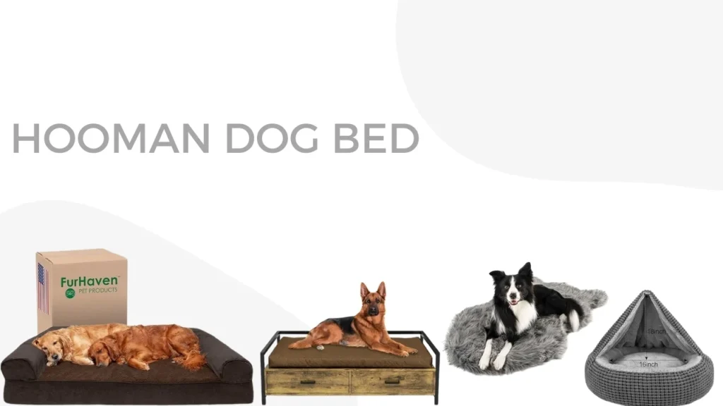 Hooman dog bed