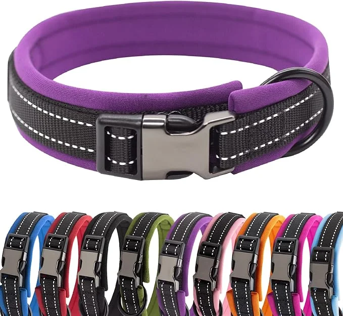 HSIGIO Nylon Padded Dog Collar