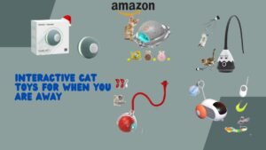 interactive cat toys for when you are away