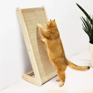 Meeyoview Cat Scratcher: A Comprehensive Review
