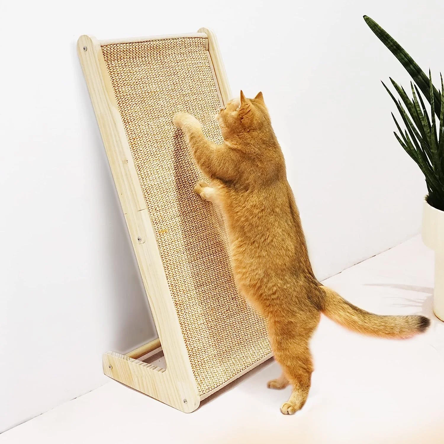 Meeyoview Cat Scratcher: A Comprehensive Review