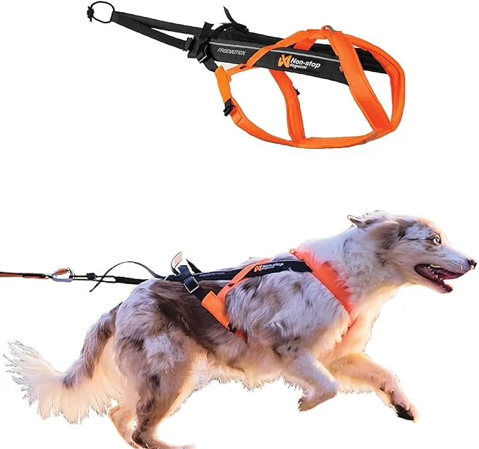Non-stop dogwear Freemotion Harness 5.0