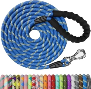 NTR Heavy Duty Dog Leash