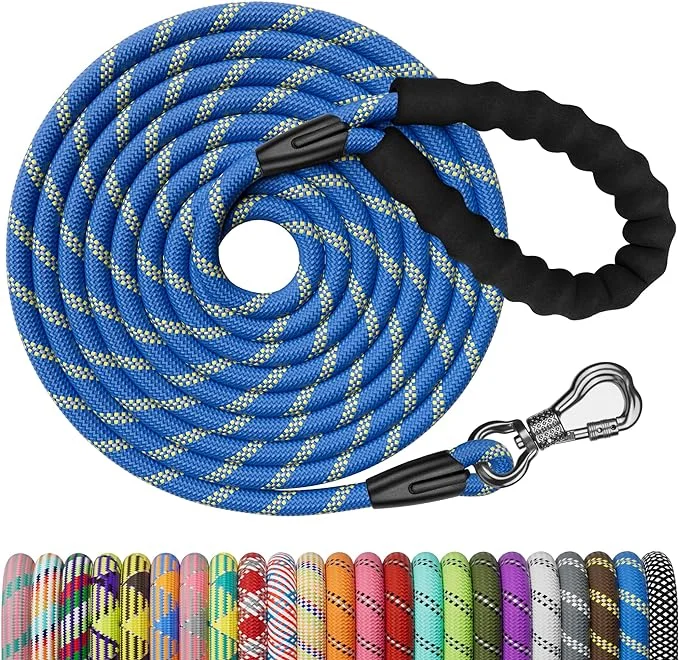 NTR Heavy Duty Dog Leash