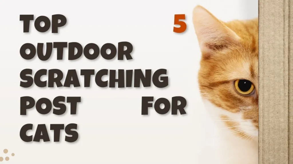 Outdoor scratching post for cats