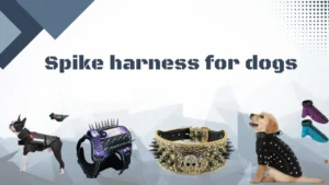 Spike harness for dogs