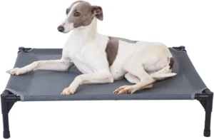 The Ultimate Guide to pettycare Elevated Outdoor Dog Bed: A Cool Haven for Your Furry Friend