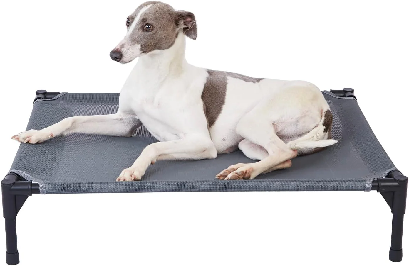 The Ultimate Guide to pettycare Elevated Outdoor Dog Bed: A Cool Haven for Your Furry Friend