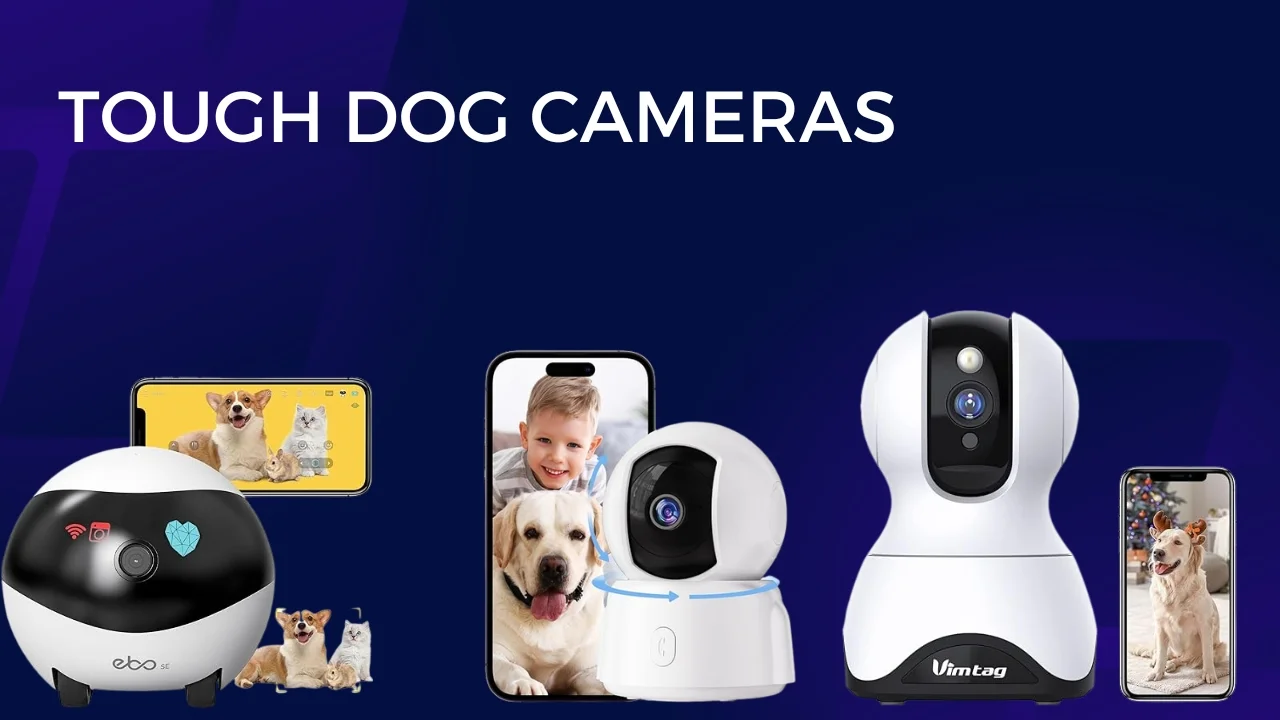 Tough dog cameras