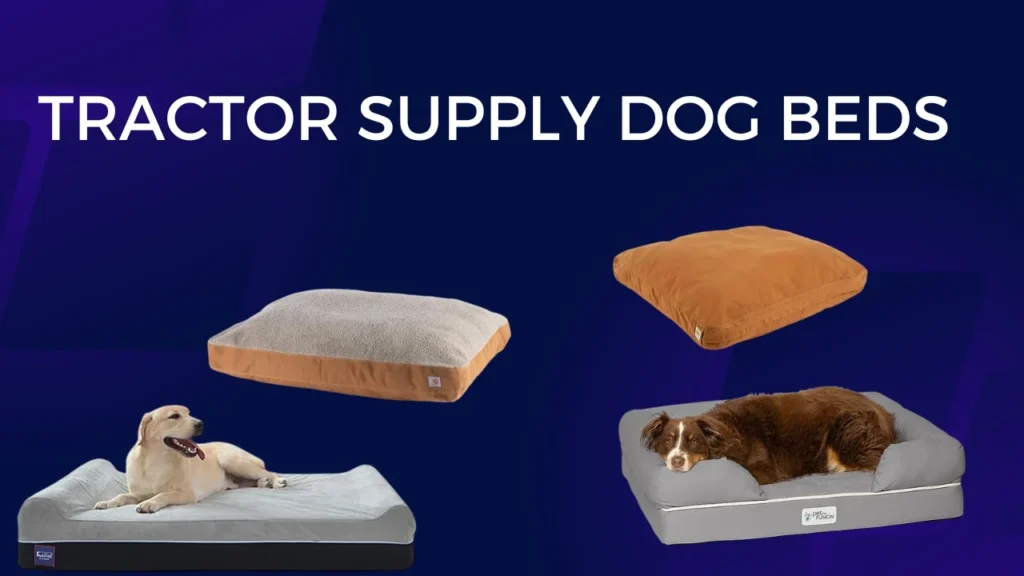 Tractor supply dog beds