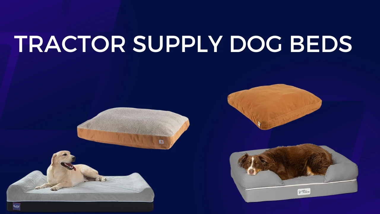 Tractor supply dog beds
