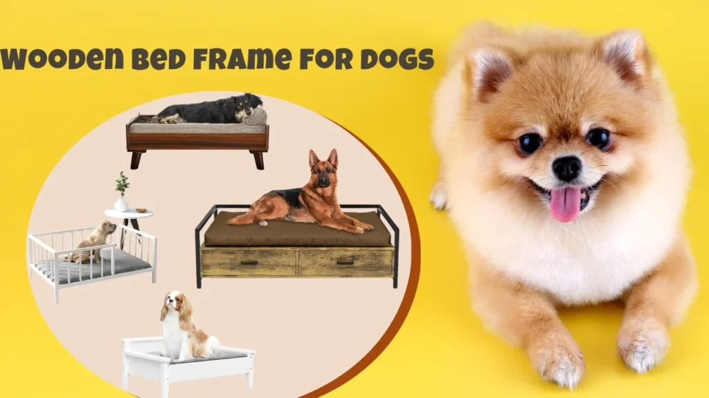 Wooden bed frame for dogs