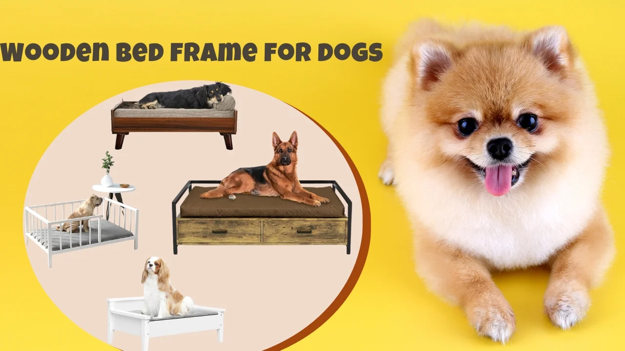 Wooden bed frame for dogs