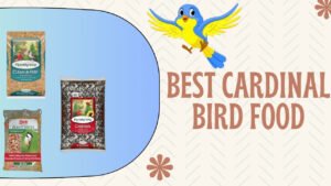 Best cardinal bird food