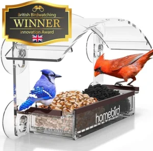 Window Bird Feeder with Strong Suction Cups