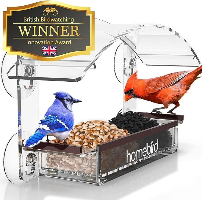 Window Bird Feeder with Strong Suction Cups